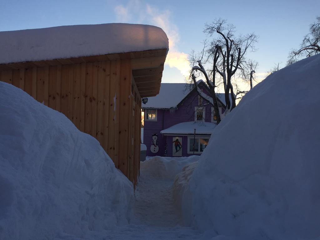 Blockhaus An Der Skiwiese Braunlage Bagian luar foto